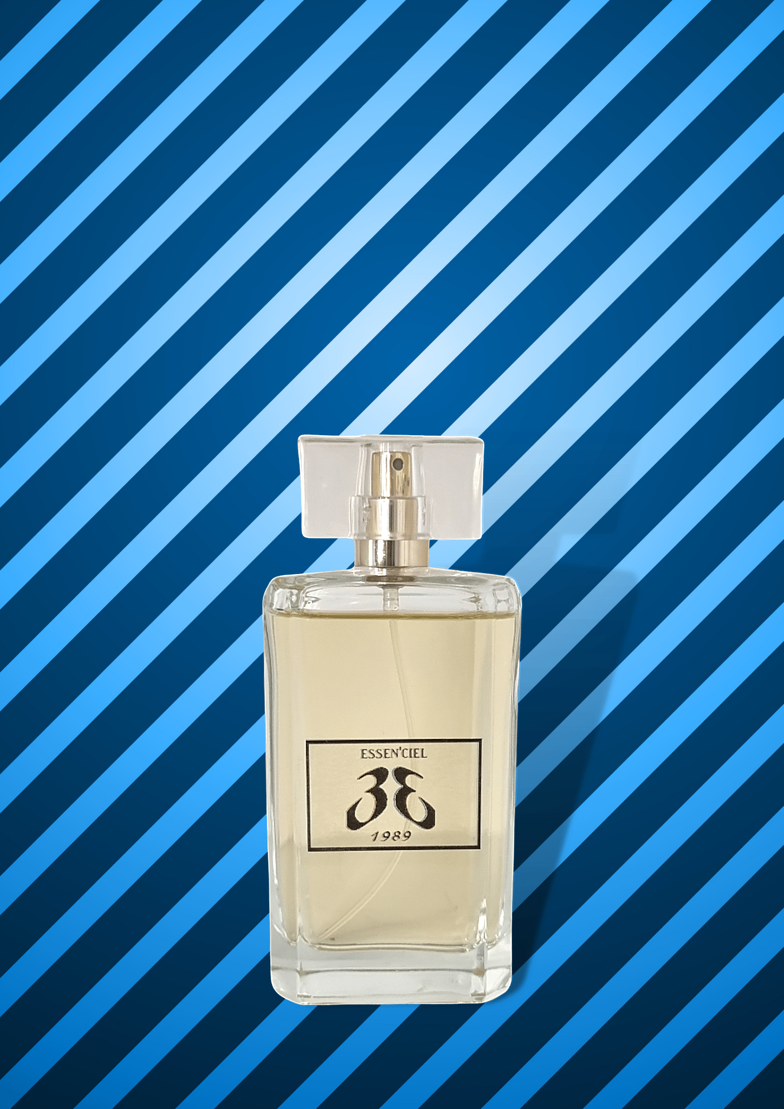 Perfume Rive Gauche Edt 100ml RIVE GAUCHE Eau De Toilette Spray