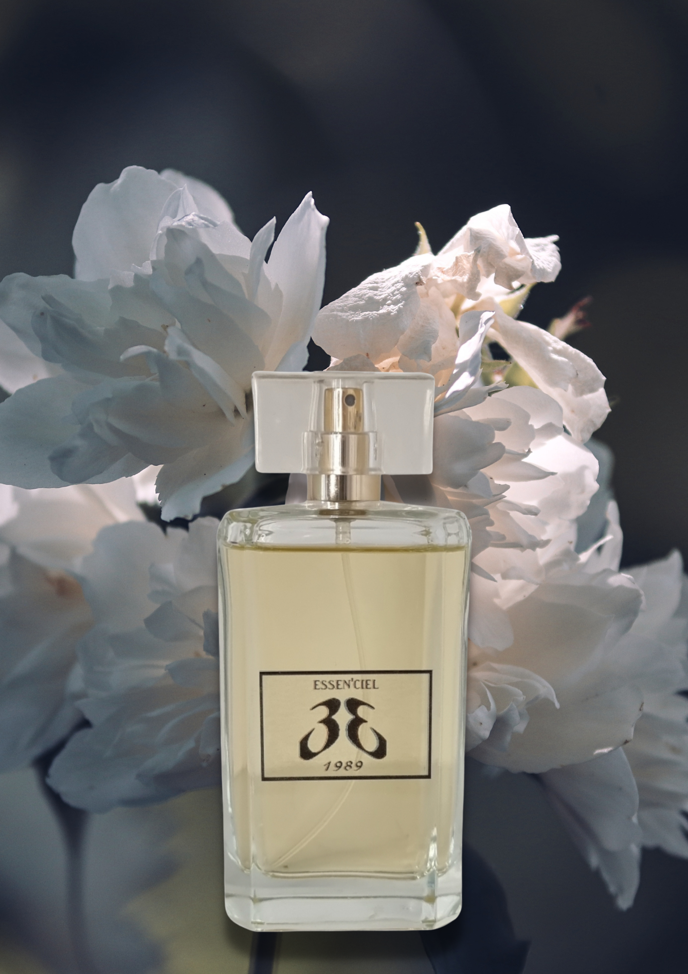 Perfume EQUIVALENT: DAY 100 ml/10 ml