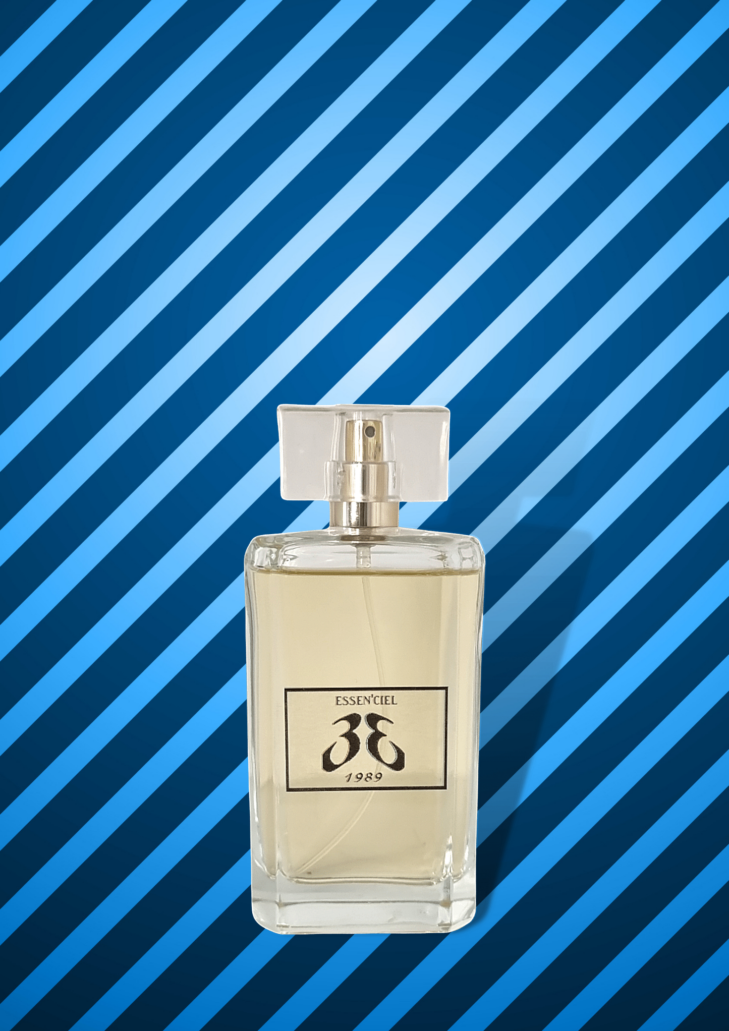 Perfume EQUIVALENT: RIVE GAUCHE 100 ml/10 ml